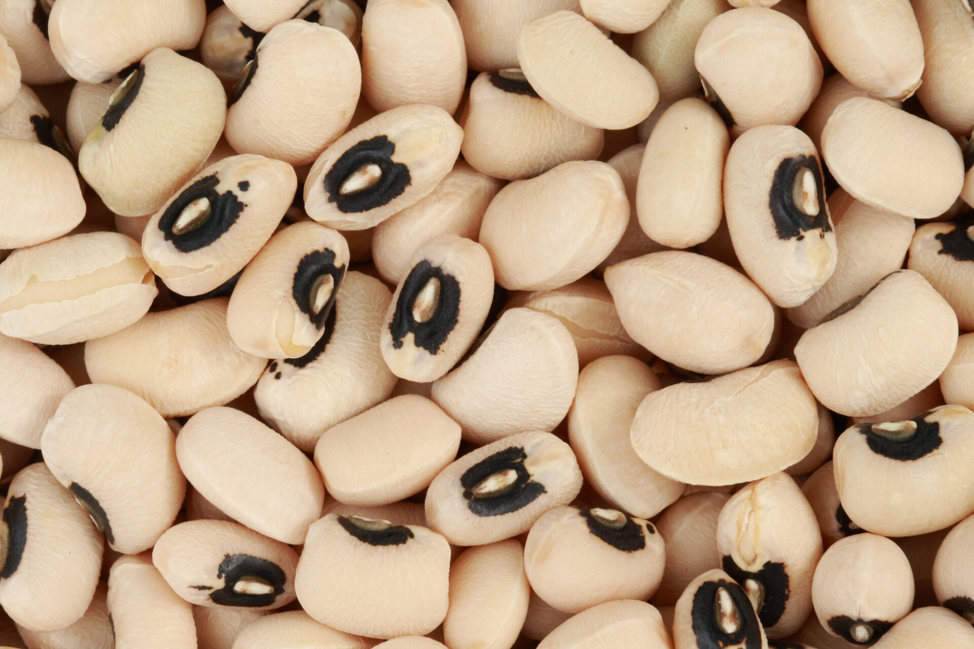 A close up of black eyed peas with numbers