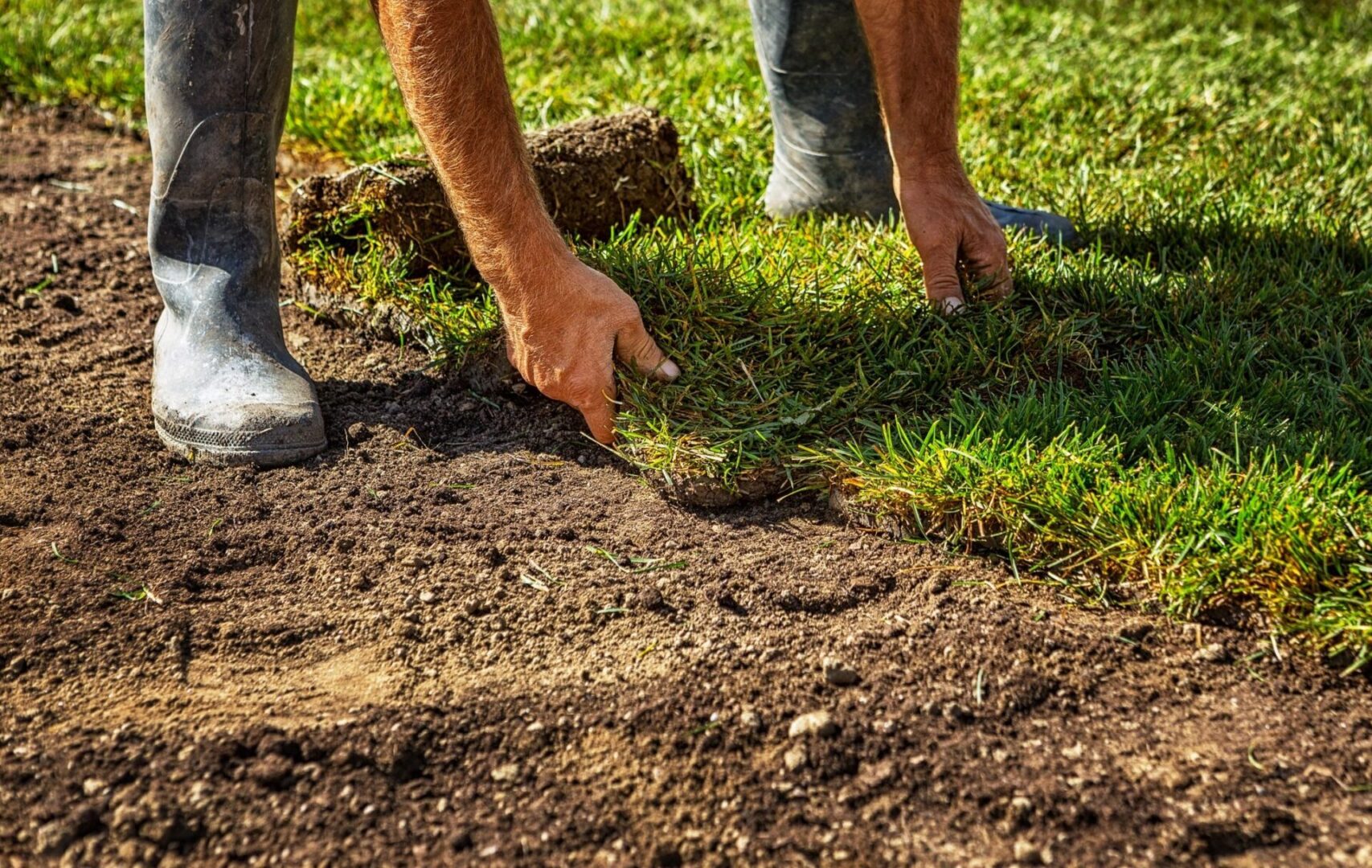 A person is touching grass on the ground