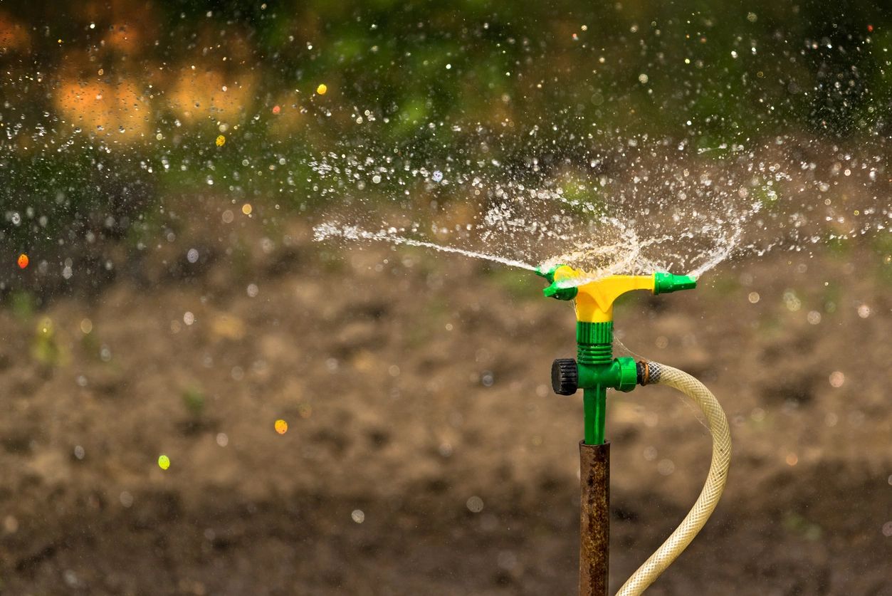 A water hose is spraying out of the ground.