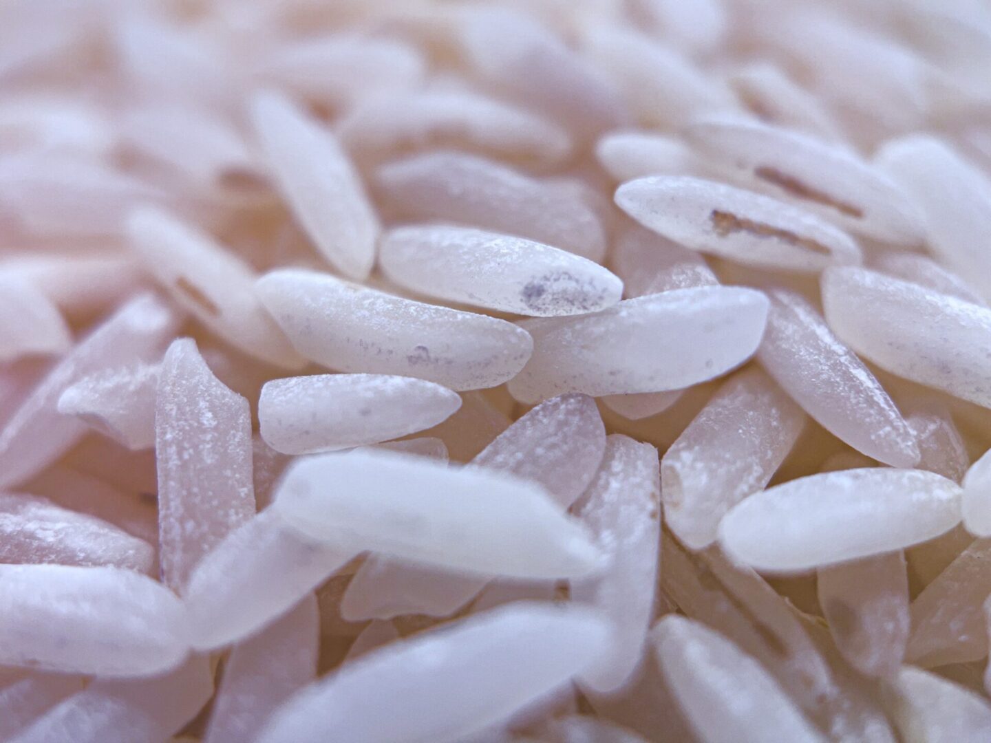 A close up of rice grains with the focus on the white rice.