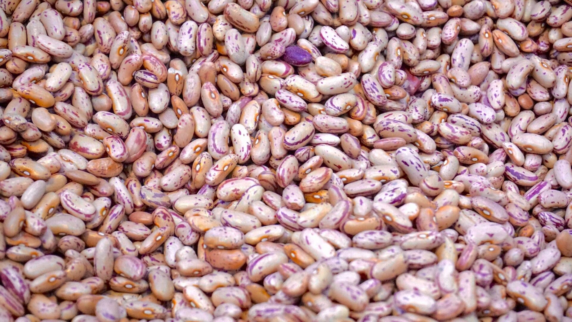 A pile of beans that are sitting on the ground.