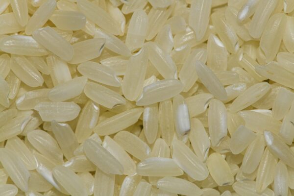 A close up of rice on the table