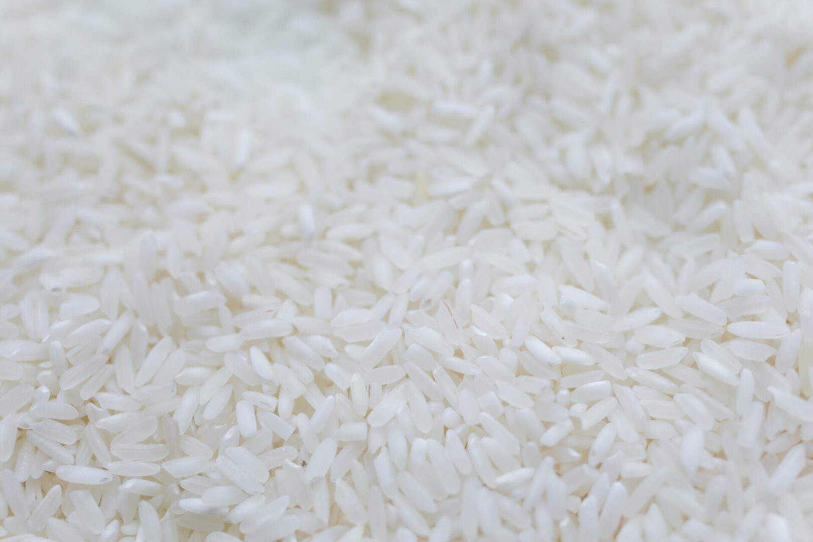 A close up of rice on the ground