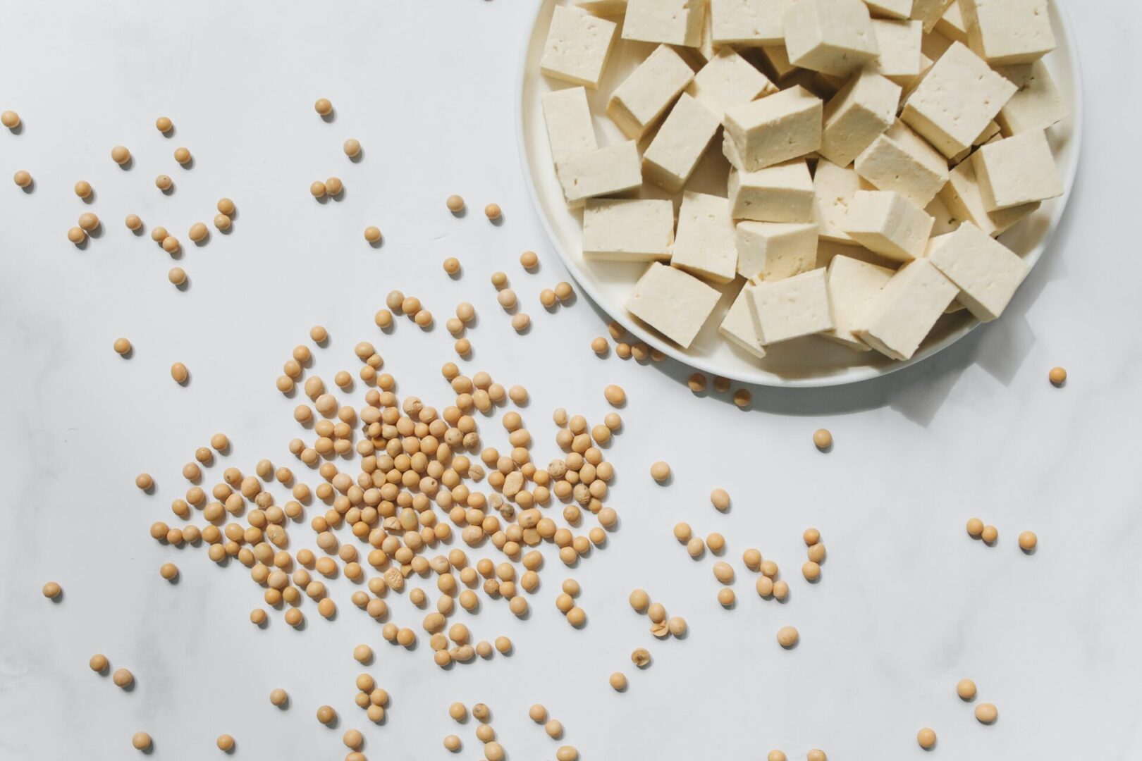 A bowl of tofu and some beans on the table