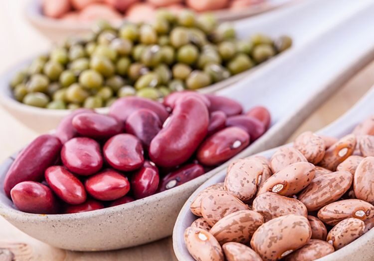 Four spoons with different types of beans in them.